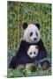Panda And Baby-null-Mounted Poster