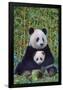 Panda And Baby-null-Framed Poster