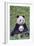 Panda And Baby-null-Framed Premium Giclee Print