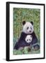 Panda And Baby-null-Framed Art Print