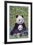 Panda And Baby-null-Framed Art Print