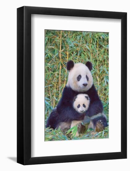 Panda And Baby-null-Framed Art Print