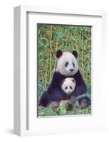 Panda And Baby-null-Framed Art Print