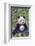 Panda And Baby-null-Framed Art Print