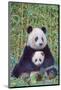 Panda And Baby-null-Mounted Art Print