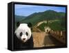 Panda and Great Wall of China-Bill Bachmann-Framed Stretched Canvas