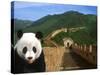 Panda and Great Wall of China-Bill Bachmann-Stretched Canvas