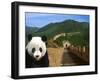 Panda and Great Wall of China-Bill Bachmann-Framed Premium Photographic Print