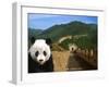 Panda and Great Wall of China-Bill Bachmann-Framed Premium Photographic Print