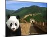 Panda and Great Wall of China-Bill Bachmann-Mounted Premium Photographic Print