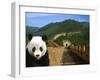 Panda and Great Wall of China-Bill Bachmann-Framed Photographic Print