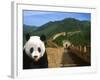Panda and Great Wall of China-Bill Bachmann-Framed Photographic Print