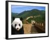 Panda and Great Wall of China-Bill Bachmann-Framed Photographic Print