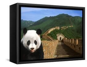 Panda and Great Wall of China-Bill Bachmann-Framed Stretched Canvas