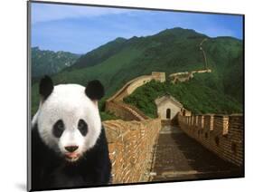 Panda and Great Wall of China-Bill Bachmann-Mounted Photographic Print