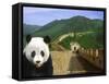 Panda at the Great Wall of China-Bill Bachmann-Framed Stretched Canvas