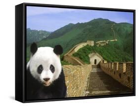 Panda at the Great Wall of China-Bill Bachmann-Framed Stretched Canvas