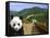 Panda at the Great Wall of China-Bill Bachmann-Framed Stretched Canvas