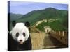 Panda at the Great Wall of China-Bill Bachmann-Stretched Canvas