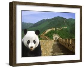 Panda at the Great Wall of China-Bill Bachmann-Framed Photographic Print