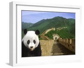 Panda at the Great Wall of China-Bill Bachmann-Framed Photographic Print