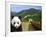 Panda at the Great Wall of China-Bill Bachmann-Framed Photographic Print