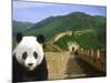 Panda at the Great Wall of China-Bill Bachmann-Mounted Photographic Print