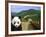 Panda at the Great Wall of China-Bill Bachmann-Framed Photographic Print