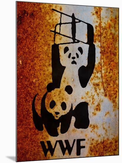 Panda Bear Wrestling-null-Mounted Poster