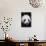 Panda Bear-null-Photographic Print displayed on a wall