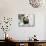 Panda Cub on Snow, Wolong, Sichuan, China-Keren Su-Mounted Photographic Print displayed on a wall