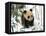 Panda Cub on Snow, Wolong, Sichuan, China-Keren Su-Framed Stretched Canvas