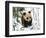 Panda Cub on Snow, Wolong, Sichuan, China-Keren Su-Framed Photographic Print