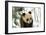 Panda Cub on Snow, Wolong, Sichuan, China-Keren Su-Framed Photographic Print