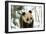 Panda Cub on Snow, Wolong, Sichuan, China-Keren Su-Framed Photographic Print