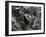 Panda Cub Playing on Tree in Snow, Wolong, Sichuan, China-Keren Su-Framed Photographic Print