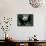 Panda Cub, Wolong, Sichuan, China-Keren Su-Framed Stretched Canvas displayed on a wall