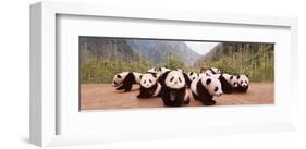 Panda Cubs-null-Framed Art Print