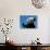 Panda Eating Bamboo, Wolong, Sichuan, China-Keren Su-Photographic Print displayed on a wall