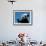 Panda Eating Bamboo, Wolong, Sichuan, China-Keren Su-Framed Photographic Print displayed on a wall