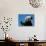 Panda Eating Bamboo, Wolong, Sichuan, China-Keren Su-Mounted Photographic Print displayed on a wall