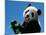 Panda Eating Bamboo, Wolong, Sichuan, China-Keren Su-Mounted Photographic Print