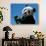 Panda Eating Bamboo, Wolong, Sichuan, China-Keren Su-Photographic Print displayed on a wall