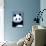 Panda Face - Visit the Zoo-Lantern Press-Art Print displayed on a wall