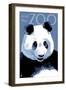 Panda Face - Visit the Zoo-Lantern Press-Framed Art Print