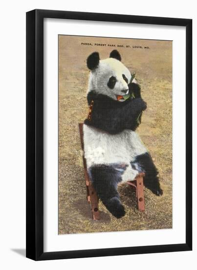 Panda, Forest Park Zoo, St. Louis, Missouri-null-Framed Art Print