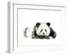 Panda Hand Painted Watercolor Illustration Isolated on White Background. Watercolor Animal Silhouet-Tatyana Komtsyan-Framed Art Print