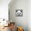 Panda Low Poly Portrait-kakmyc-Art Print displayed on a wall