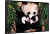 Panda Mother and Baby-null-Framed Poster