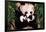 Panda Mother and Baby-null-Framed Poster